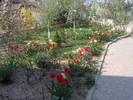 21.04.2009 001