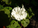 P1010480