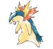 157typhlosion
