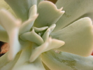 DSC09511