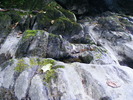 DSCF5078