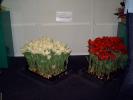 DSC00108