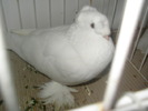SANY0088