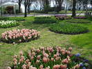 Burgas