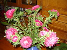 DSC02655