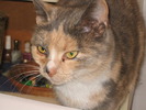 23 dec 2007 056