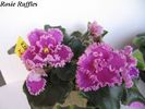Rosie Ruffles 2009