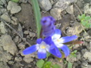 Imag002