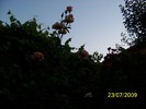 100_8497