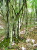 DSCF1043