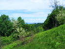 DSCF0555