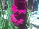 Imag049