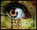 Eyes magic (44)