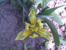 Imag035