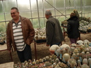 plan 286