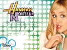 hannah-montana-wallpapers-001