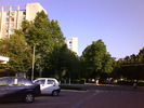 DSC05434