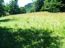 DSCF2651