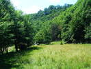 DSCF2666