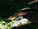 DSCF3637
