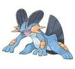 260swampert