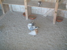 DSC00880
