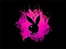 Playboy Bunny_1