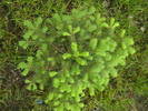 IMGA0460