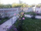 Fotografii-0062