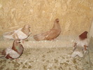 P9061574