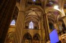 Picture 011
