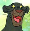 bagheera[1]