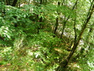DSCF5384