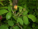DSCI0616