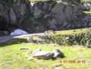 DSCN7935