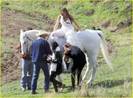 miley-cyrus-white-horse-photo-shoot-06