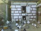 DSC01301