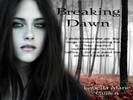 Breaking-Dawn-Bella-twilight-series-3254290-1024-768[1]