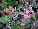 DSC06160