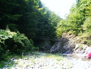 DSCF5286