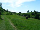 DSCF0616