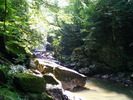DSCF5256