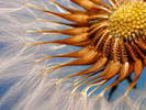 a_superstock_1566-0146609