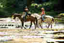 hannah_montana_the_movie05