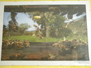 DSCN1970