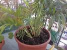 Foto0338
