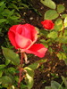DSCF4645