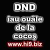 dnd iau ouale de la cocos