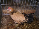 P8161714