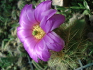 DSC08737